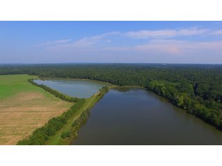 Farmland in Pulaski County, Arkansas - ABSOLUTE ARKANSAS REAL ESTATE AUCTION - 1,200+/- ACRES OFFERED IN 6 TRACTS IN PULASKI COUNTY, ARKANSAS